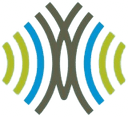 Chrysalis Butterfly Logo