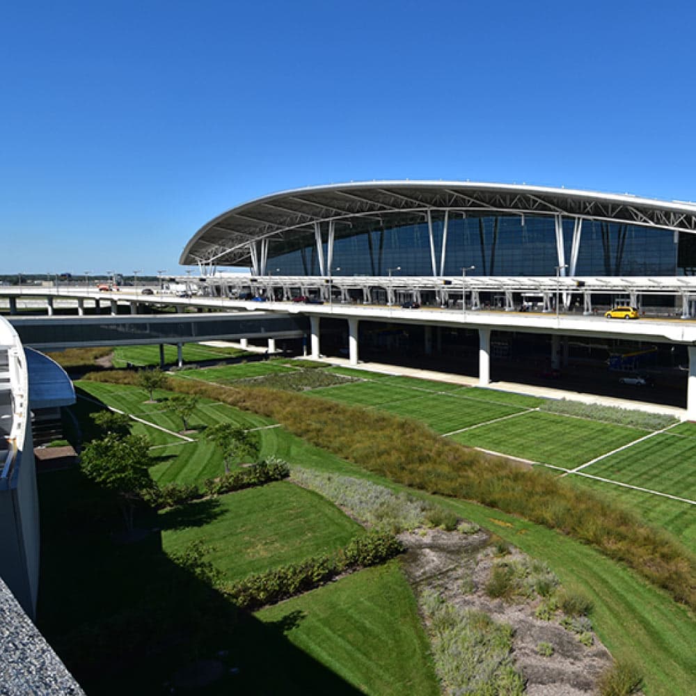 ERP Selection and Implementation